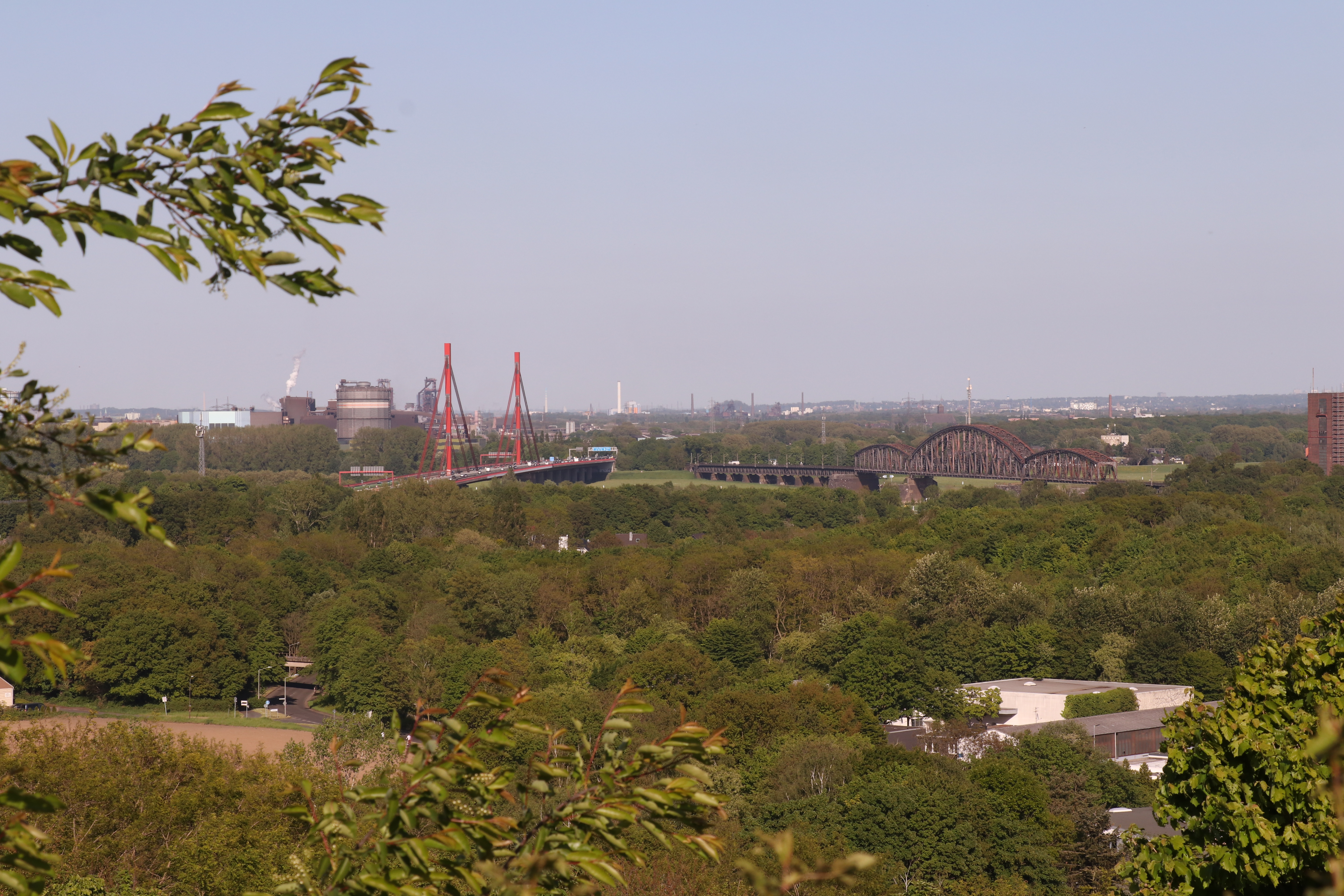 Der weite Rheinstrom in der Natur